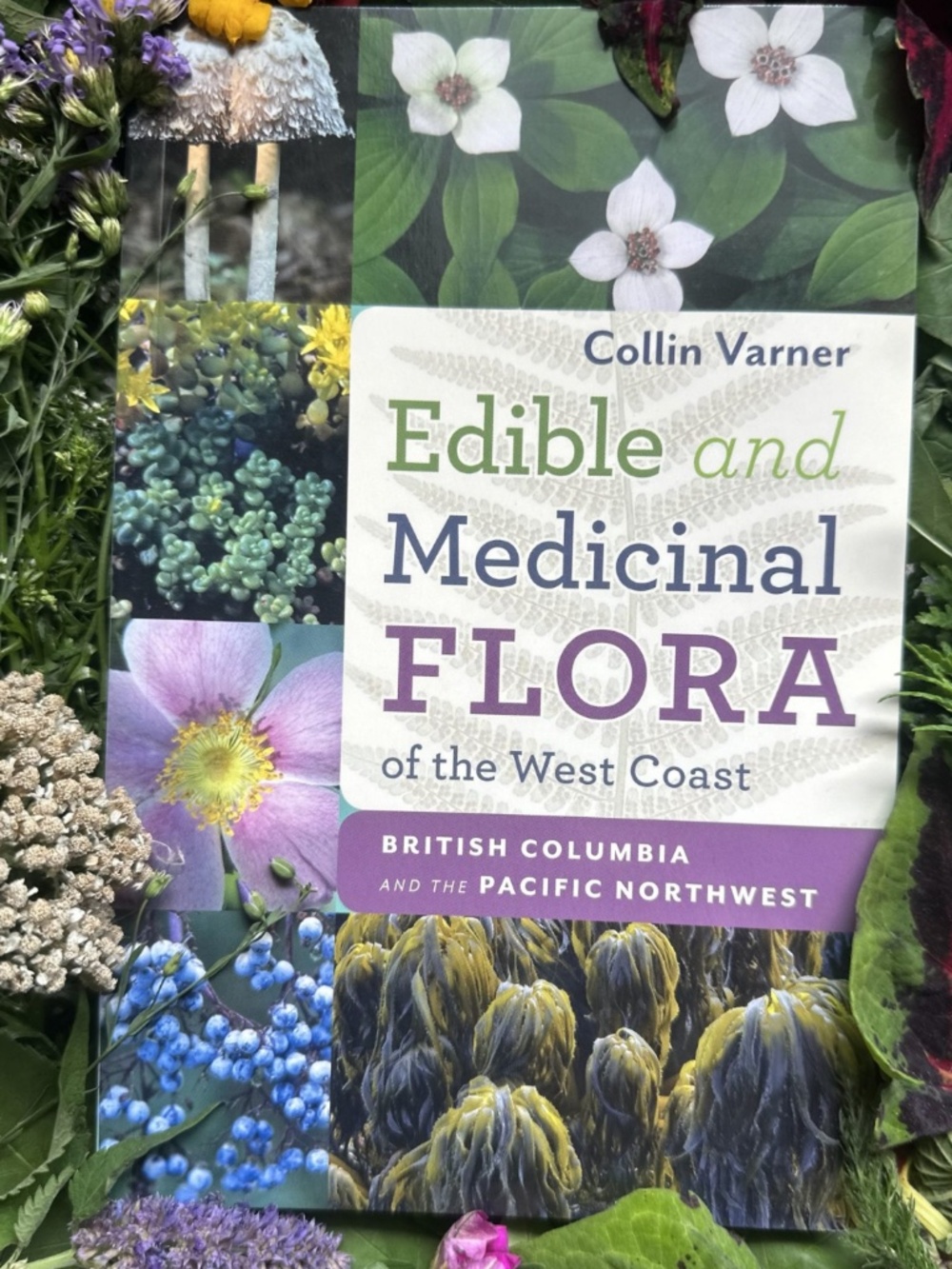 Edible and Medicinal Flora of the West Coast Book Wildcraft Herbal Nature PNW